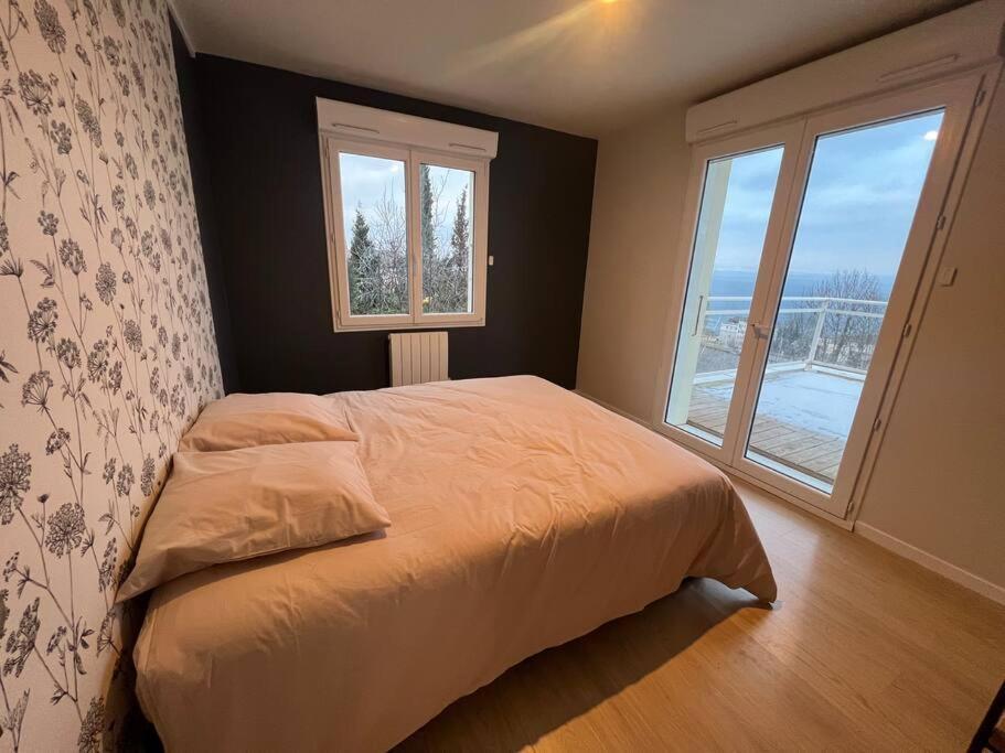 Leman Panoramique Avec Terrasse A Deux Pas Du Centre-Ville 埃维昂莱班 外观 照片